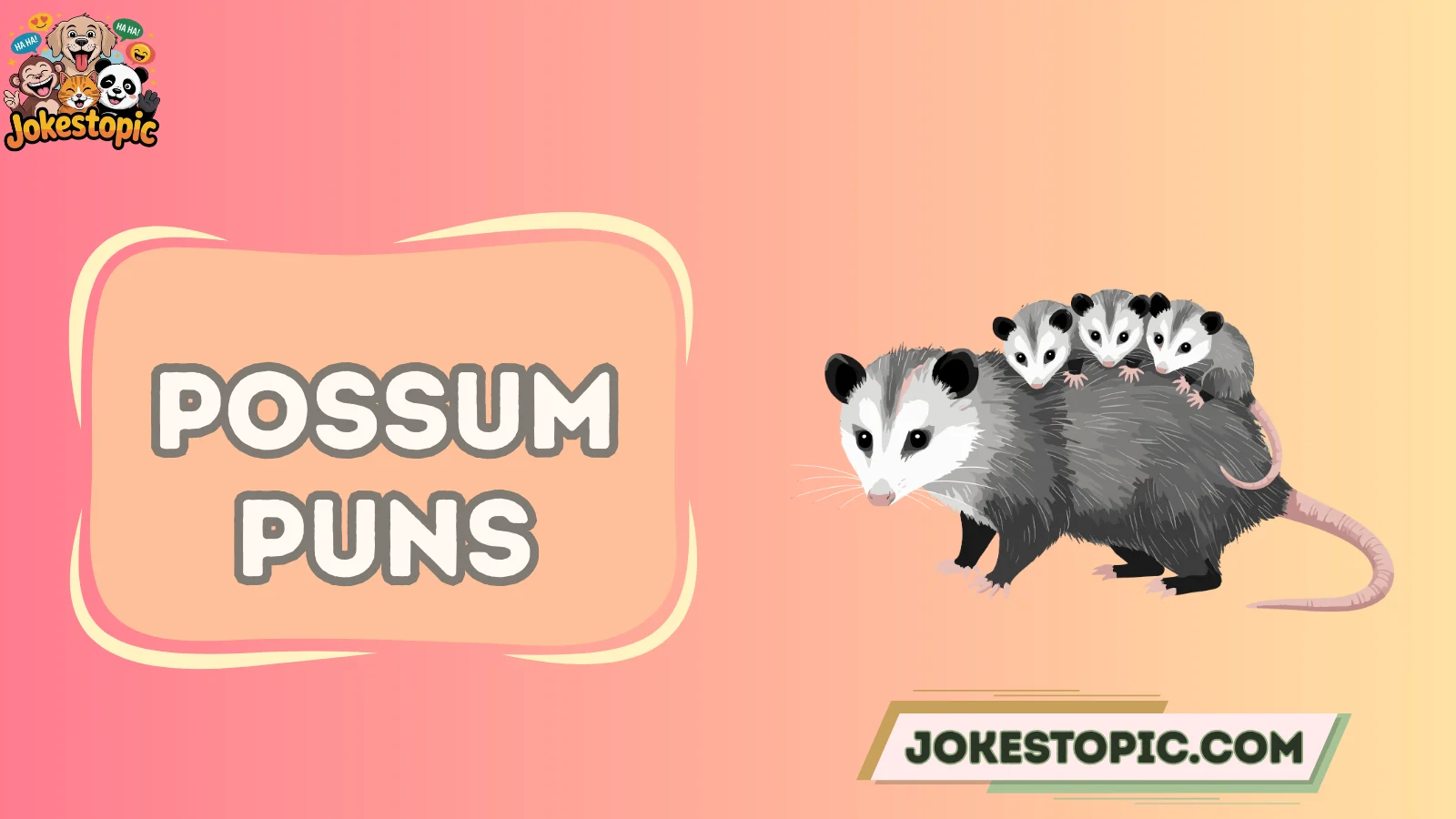 Possum Puns