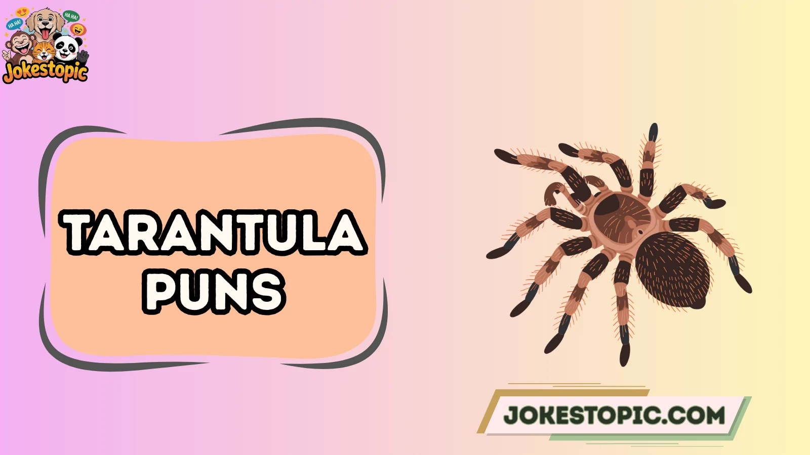 Tarantula Puns