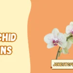 Orchid Puns