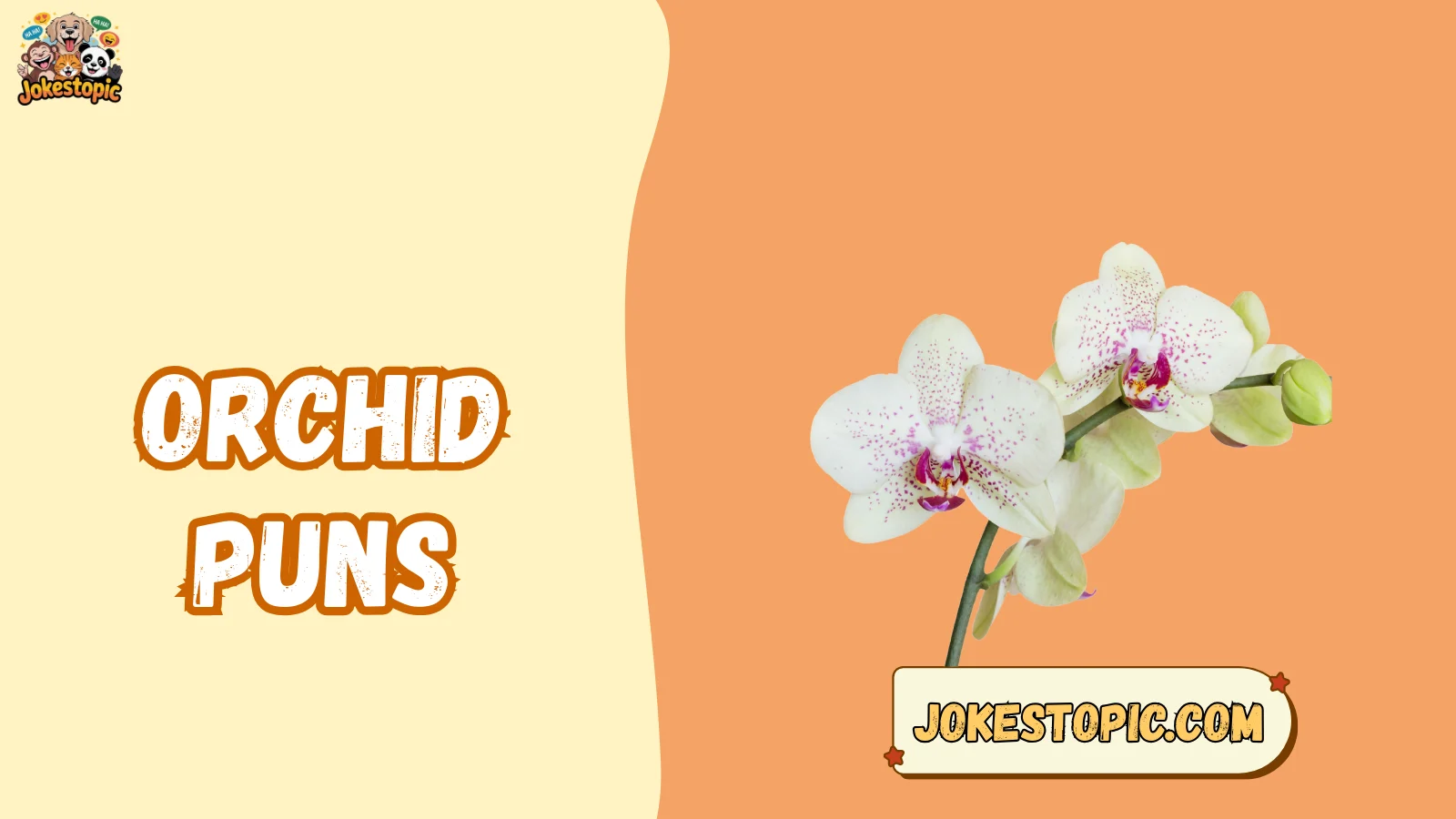 Orchid Puns