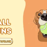Ball Puns