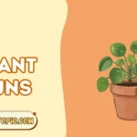 Plant Puns